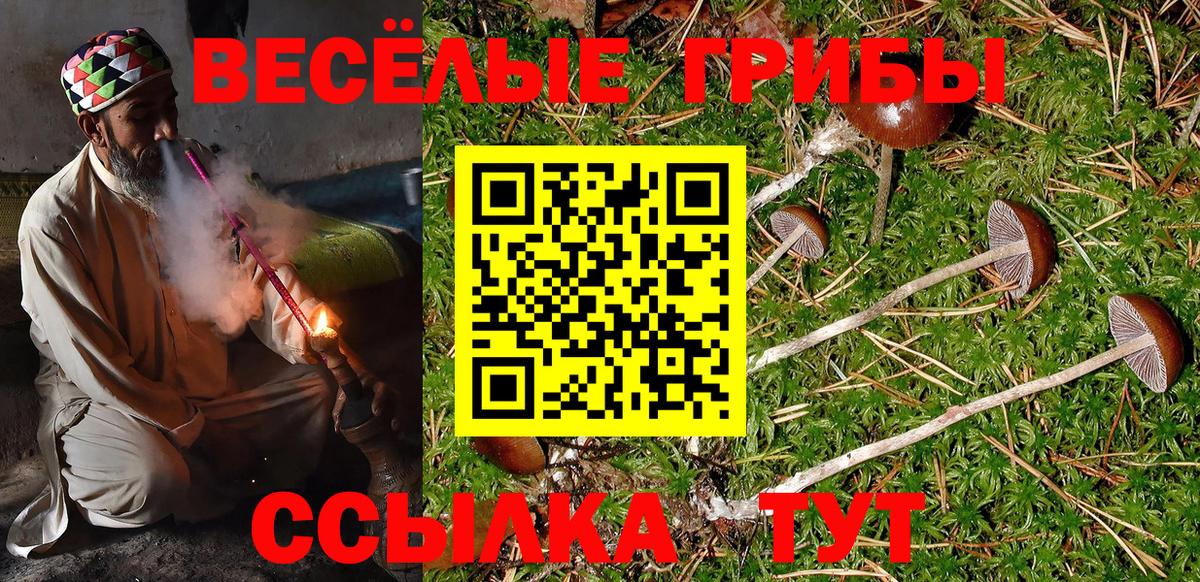 Тосно  Псилоцибиновые грибы Psilocybine cubensis  Галлюциногенные грибы Psilocybe  Вход с VPN 