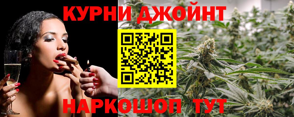 Шишки марихуана план  Вход с VPN  Каннабис семена  Шишки марихуана SATIVA & INDICA  Марихуана семена  Тосно 