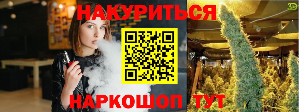 Каннабис конопля Тосно